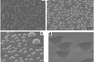 雨滴状有序介孔Eu(TTA)<sub>3</sub>(TPPO)<sub>2</sub>/ZnO材料及其制备方法