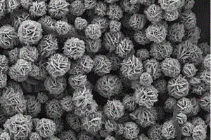 Fe<Sub>3</Sub>O<Sub>4</Sub>@MoS<Sub>2</Sub>磁性复合结构及其制备方法