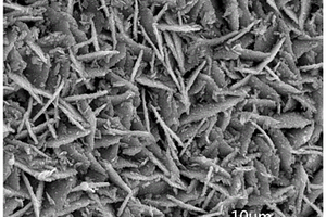 用于超级电容器的晶态-非晶态MoO<Sub>3</Sub>@Ni<Sub>3</Sub>S<Sub>2</Sub>材料的制备方法