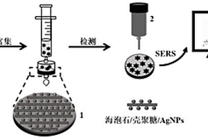 复合柔性SERS基底及其制备方法和应用