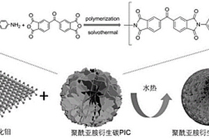 聚酰亚胺衍生碳/二硫化钼负极材料的制备方法及其在钾离子电池中的应用