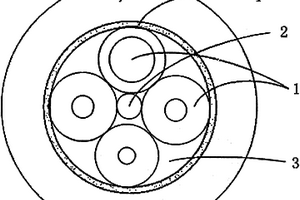 多相电光纤嵌入式电力电缆