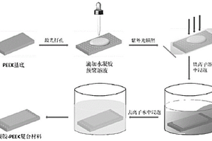 具有软硬复合结构的仿生聚醚醚酮人工关节臼的制备方法