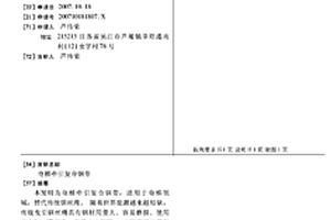 电梯牵引复合钢带