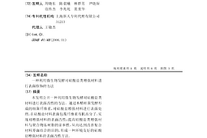 利用微生物发酵对硅酸盐类增强材料进行表面修饰的方法