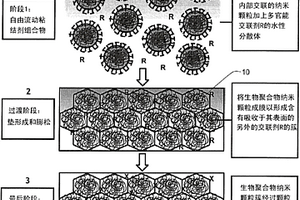 用于矿物、天然有机或合成纤维产品和非织物垫的可固化剪切的或挤出的、交联淀粉纳米颗粒胶乳粘结剂