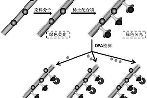 核壳型磁性多色荧光探针的制备及可视化检测方法
