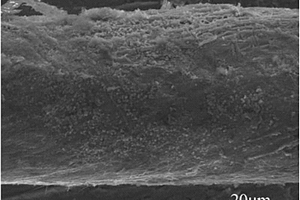 碳纳米管纱线基柔性超级电容器复合电极材料的制备方法