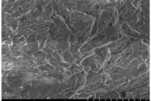 负载纳米四氧化三铁活性炭载体、制备方法及其在芬顿流化床处理中的应用