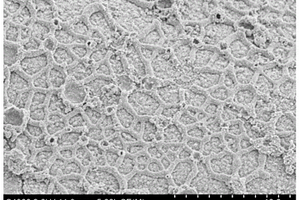 SiO<Sub>2</Sub>-TiO<Sub>2</Sub>复合超材料结构光催化剂及其制备方法