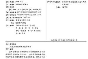 高使用温度的纳米复合树脂