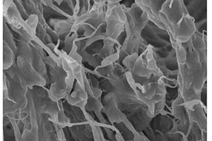 利用纳米纤维增强塑料或木塑复合材的方法