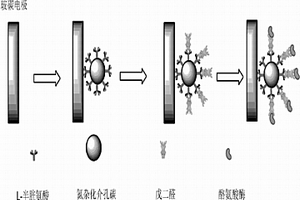 基于修饰电极的酪氨酸酶生物传感器及制备方法和应用