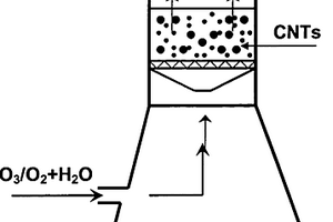 碳纳米管的水蒸气辅助臭氧分解