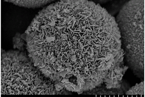 花状钛酸锂-二氧化钛复合电极材料的制备方法