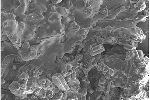 锆酸镧纤维掺杂锆酸镧的热障涂层的制备方法