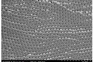 制备聚偏氟乙烯纳米阵列孔膜的方法