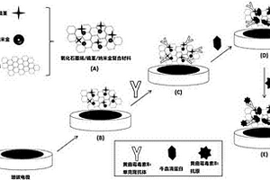 用于黄曲霉毒素B1检测的电化学免疫传感器的制备及使用方法