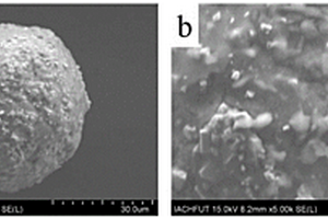 具有优异综合力学性能的WC-Co-Y<Sub>2</Sub>O<Sub>3</Sub>硬质合金及其制备方法