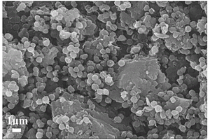 采用一锅法制备氮掺杂多孔石墨化碳气凝胶微球的方法