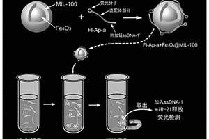 荧光传感材料及其在microRNA富集和/或检测中的应用