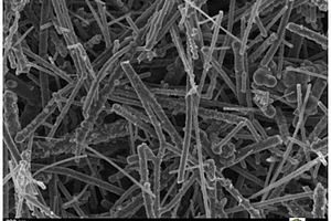 氧化硅包覆碳纳米管及其制备装置、方法与应用