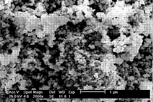 碳包覆掺铌纳米钛酸锂材料的制备方法