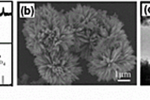 硅纳米片掺杂钴酸镍及其制备方法