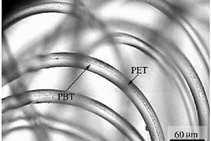 PBT-PET复合弹力纤维及其制备方法