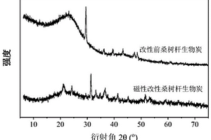 磁性桑树杆生物炭吸附剂的制备方法