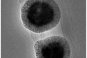 弱水解体系制备磁性介孔二氧化硅复合微球的方法