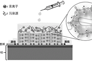 抗污染场效应晶体管传感器及其制备方法