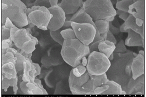无花果状中空六方氮化硼纳米结构粉末的制备方法