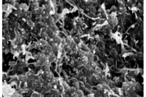 具有石墨烯-碳纳米管复合结构的导电尼龙母粒及其制备方法
