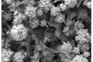 刺猬状结构硫化铋-石墨烯复合纳米材料制备方法与应用