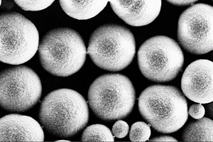 己烯雌酚分子印迹磁性微球的制备方法及其应用