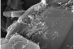 纳米碳包裹氮化硼复合粉体、其制备方法及应用