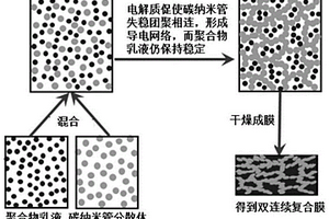 碳纳米管聚合物复合导电材料及其制备方法