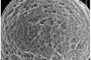 碳纳米管包覆钛球形复合粉体及其制备方法