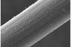 碳纤维/聚乙烯亚胺/碳纳米管多尺度增强体的制备方法