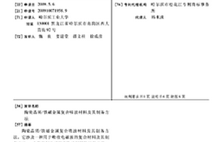 陶瓷晶须/铁磁金属复合吸波材料及其制备方法