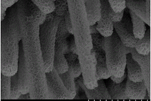 CuO@MnO2核壳结构多孔纳米线材料及其制备方法