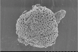 多孔球状生物碳的制备方法及应用