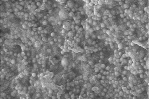 海藻渣稳定纳米零价铁及其制备方法与应用