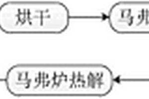 新型环境持久性自由基材料及其制备方法