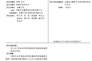 用大分子表面改性剂包覆改性的陶瓷纳米粉体及其用途