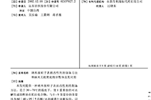 纳米级粒子表面改性剂的制备方法和纳米无机氧化物分散体及其应用