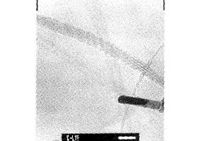 在真空条件下用电弧放电技术制备碳纳米管的方法