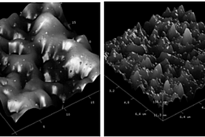壳聚糖改性-聚合物复合膜的制备方法