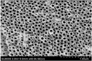 3D打印钛/二氧化钛纳米管/羟基磷灰石复合医用材料的制备方法
